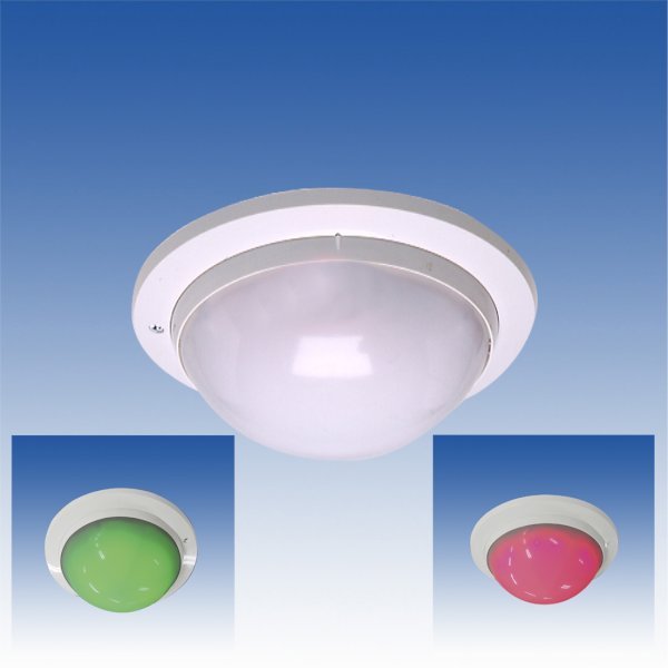 画像1: 表示灯／HY-81 (1)