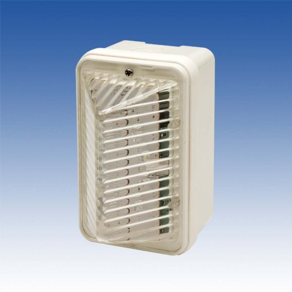 画像1: LEDフラッシュライト／LF-12W (1)