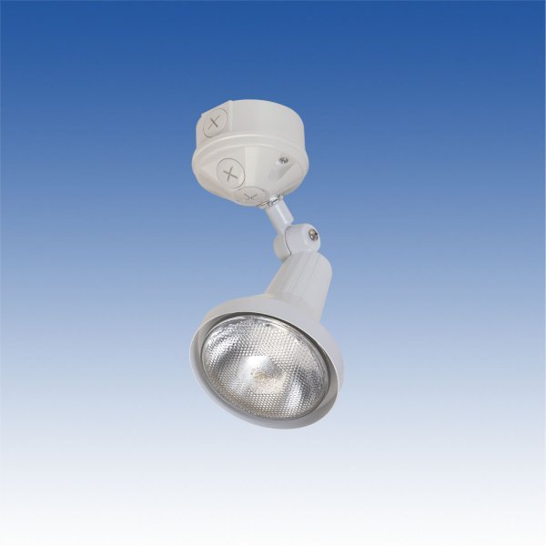 画像1: 防犯ライト／SL-01W (1)