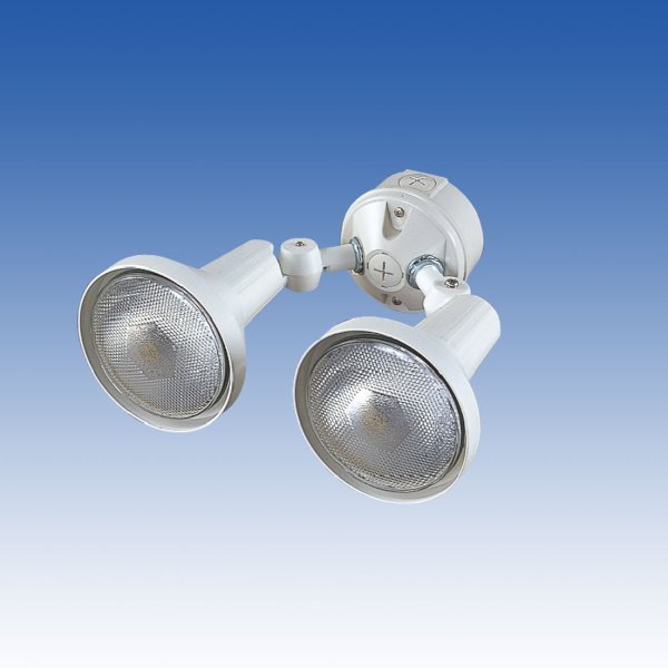 画像1: 防犯ライト／SL-02W (1)