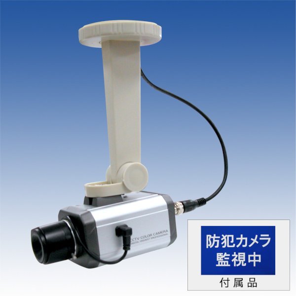 画像1: ダミーカメラ／VSC-D300 (1)