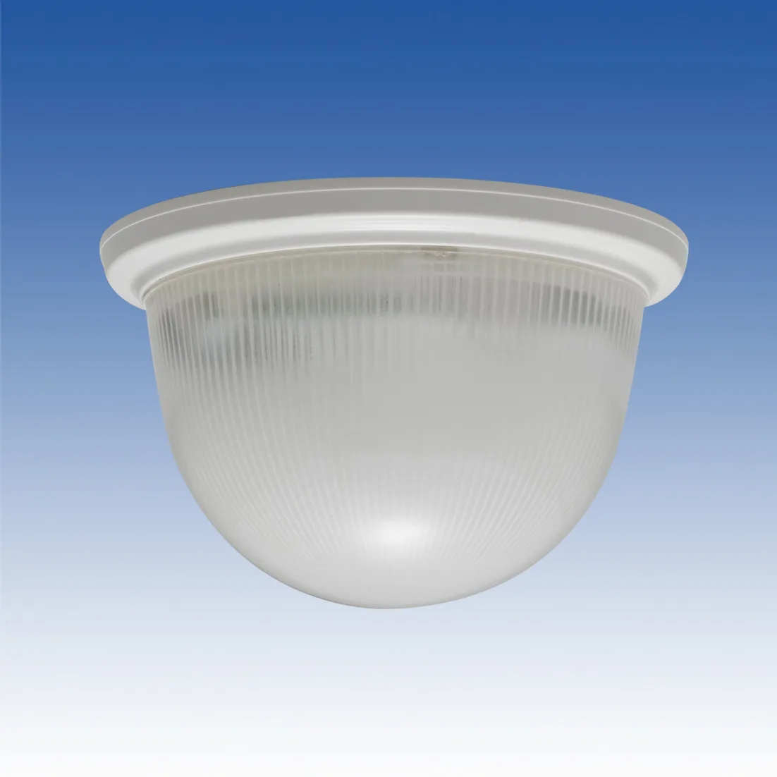 TAKEX LEDフラッシュライト LF-D12W